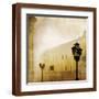 Brown Frame