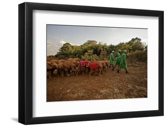 Premium Photographic Print, , large