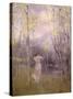 Stretched Canvas