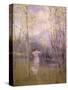 Stretched Canvas
