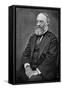 James Prescott Joule, English Physicist-Science Source-Framed Stretched Canvas