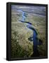 Essential Black