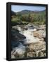 Essential Black
