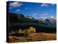 Stretched Canvas