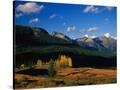 Stretched Canvas