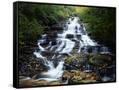 Canvas Black