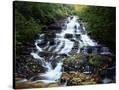 Stretched Canvas