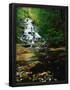 Essential Black