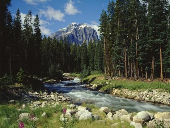 Photographic Print, , large