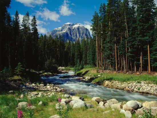 Premium Photographic Print, , large
