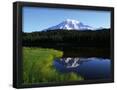 Essential Black