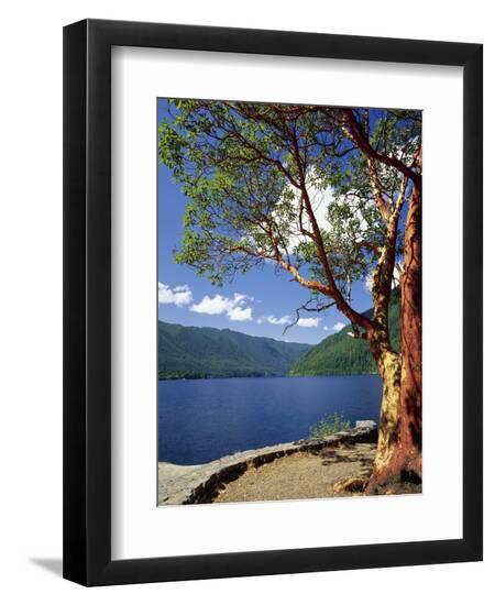 Premium Photographic Print, , large