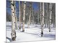 Wood Mount