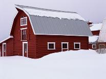 Red Barn in the Snow-James Randklev-Photographic Print