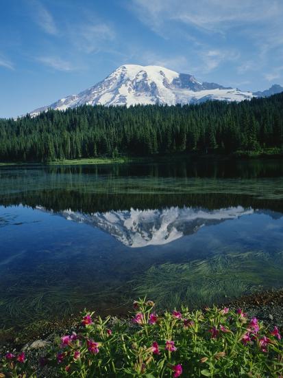 Premium Photographic Print, , large