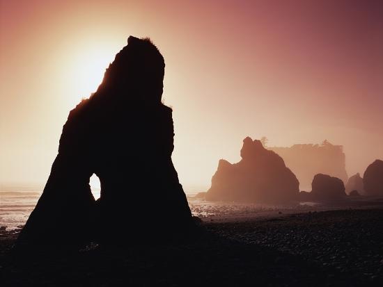 Premium Photographic Print, , large