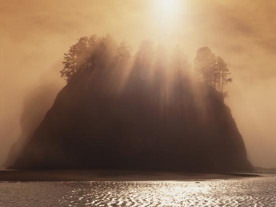 Premium Photographic Print, , large