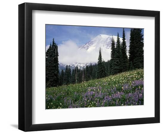 Premium Photographic Print, , large