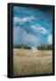 Essential Black