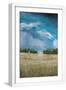 White Frame