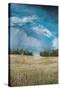 Stretched Canvas