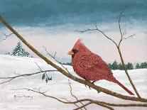 Auburn Cardinal-James Redding-Art Print