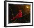 Black Frame