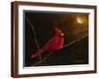Brown Frame