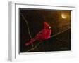 White Frame