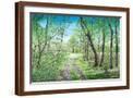 Brown Frame
