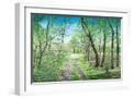 White Frame