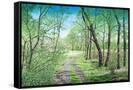 Canvas Black