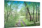 Wood Mount