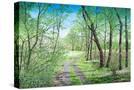 Stretched Canvas
