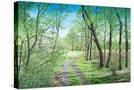 Stretched Canvas