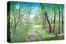 Stretched Canvas