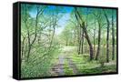 Canvas Black