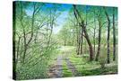 Stretched Canvas