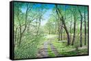 Canvas Black