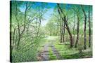 Stretched Canvas