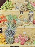 Kitchen Garden, Sana'A, North Yemen, 1975-James Reeve-Giclee Print