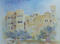 Kitchen Garden, Sana'A, North Yemen, 1975-James Reeve-Giclee Print