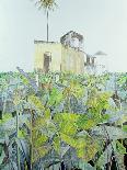 Still Life with Papaya and Cityscape, 2000-James Reeve-Giclee Print