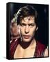 James Remar, The Warriors (1979)-null-Framed Stretched Canvas