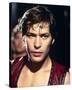 James Remar, The Warriors (1979)-null-Stretched Canvas