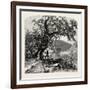 James River, Above Rope Ferry, Virginia, USA-John Douglas Woodward-Framed Giclee Print