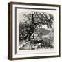 James River, Above Rope Ferry, Virginia, USA-John Douglas Woodward-Framed Giclee Print