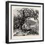 James River, Above Rope Ferry, Virginia, USA-John Douglas Woodward-Framed Giclee Print