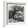 James River, Above Rope Ferry, Virginia, USA-John Douglas Woodward-Framed Giclee Print