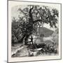 James River, Above Rope Ferry, Virginia, USA-John Douglas Woodward-Mounted Giclee Print